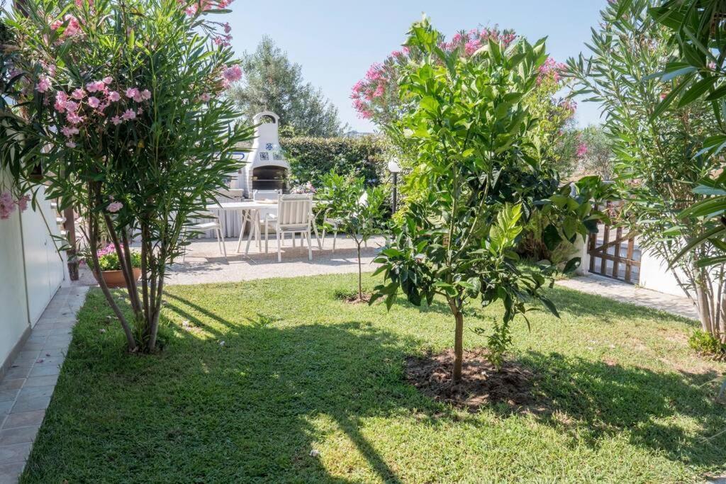 דירות Viddalba Casa Francesca מראה חיצוני תמונה